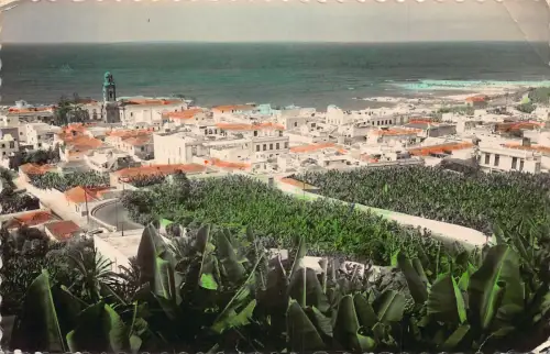 A959 Spanien 1957 Puerto de la Cruz Gesamtansicht Vintage Postkarte