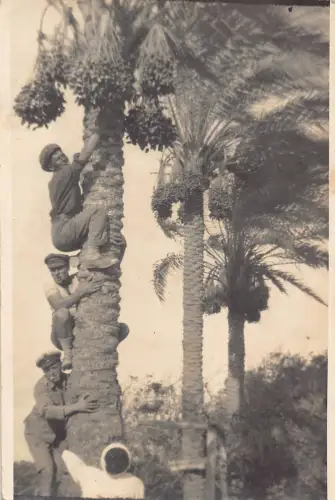 A956 Italien WWI Militär Soldaten Klettern Baum RPPC Vintage Postkarte
