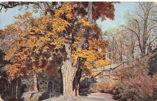 A951 England 1914 South Kensington Park London Vintage Postkarte