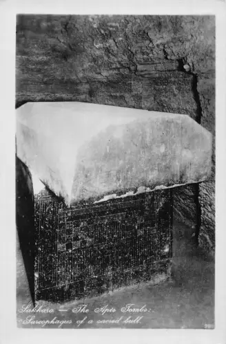 A973 Ägypten Sakkara Sakkara Die Apisgräber Sarcophaqus heiliger Stier RPPC Postkarte