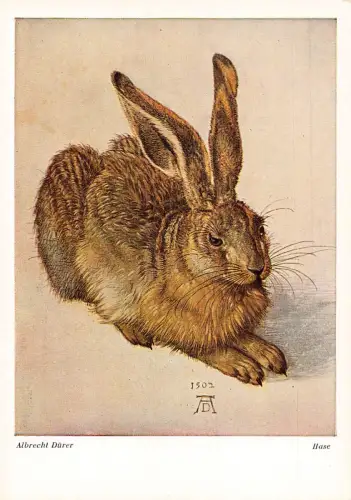 Kunst von Albrecht Dürer Hase Hase Postkarte B743