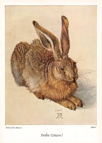 Kunst von Albrecht Dürer Hase Hase Vintage Postkarte B743