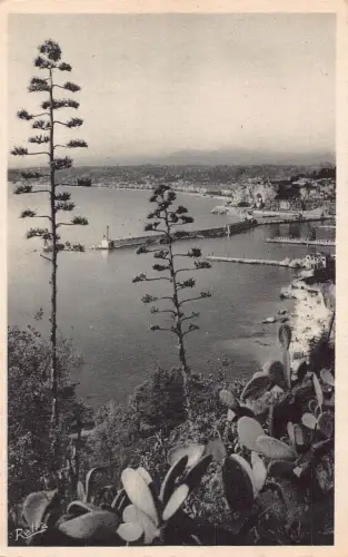 C056 Frankreich Schöne vue prise du Mont-Baron Cote d'Azur Vintage Postkarte