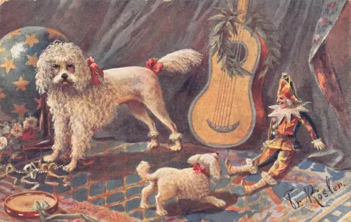 L519 Zirkuspudel Hund Welpe Clown Spielzeug Gitarre von Roesler Vintage Postkarte
