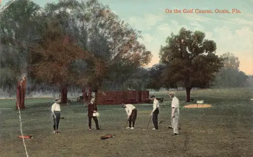 A971 US On the Golf Course Ocala Florida Vintage Postkarte