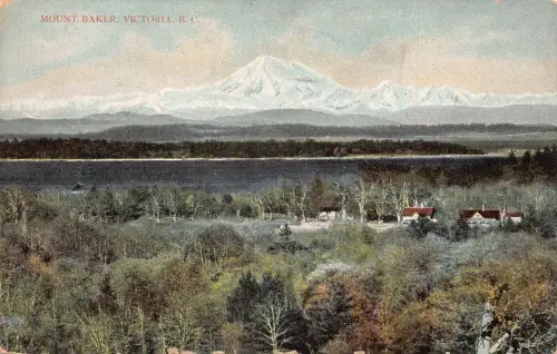 A963 Kanada Mount Baker Victoria Vintage Postkarte