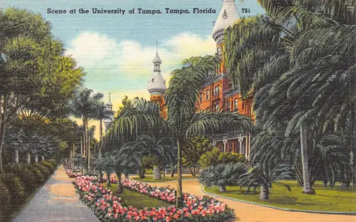 A988 US Florida Szene an der Universität in Tampa Vintage Postkarte