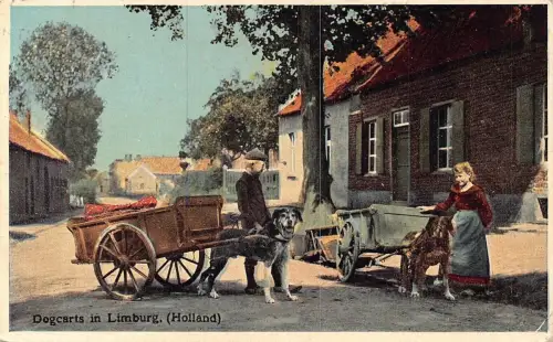 Niederlande 1913 Dogcarts in Limburg Holland Vintage Postkarte