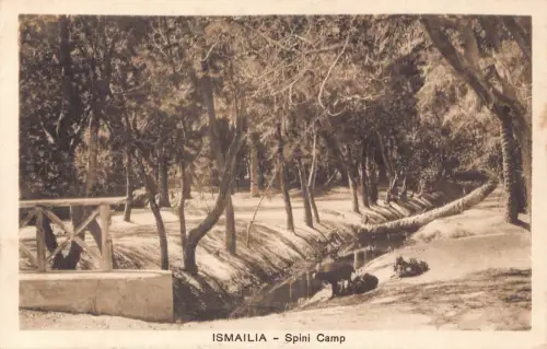 Ägypten Ismailia Spini Camp Fluss Wald Vintage Postkarte