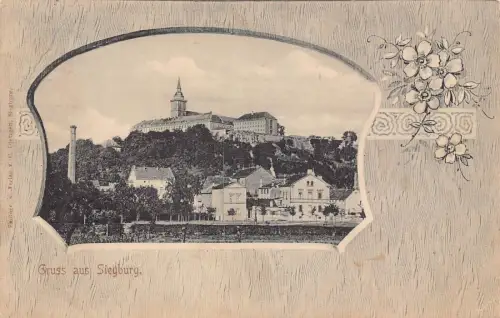 A109 Deutschland 1907 Gruss aus Siegburg Blumen Passepartout Postkarte