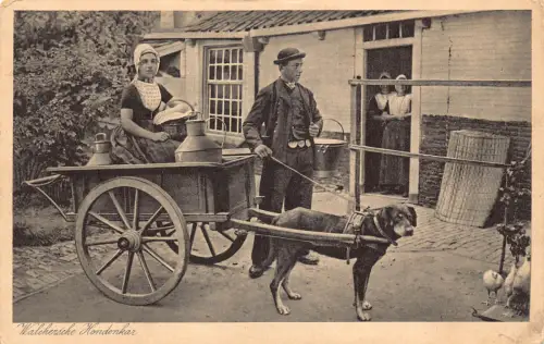 Flämisches Milchmädchen Walchersche Hondenkar Hund gezogener Wagen Vintage Postkarte