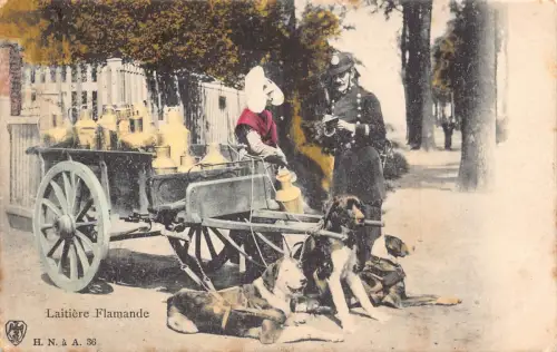 Flämisches Milchmädchen 1905 Laitiere Flamande Hunde gezogener Wagen Polizei Vintage Postkarte