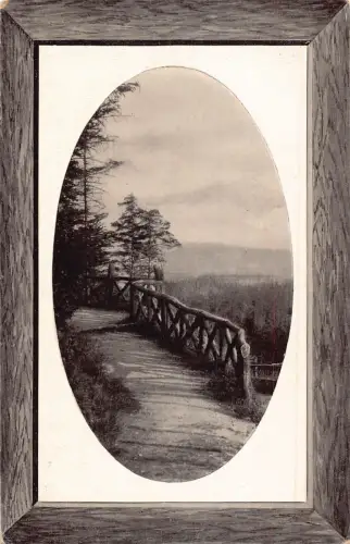 A111 Deutschland Aachen Landschaft 1912 Balkon über Waldpassepartout Postkarte