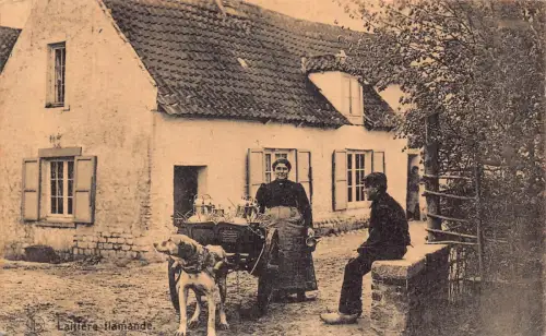 Flämisches Milchmädchen Hund gezogener Wagen Vintage Postkarte