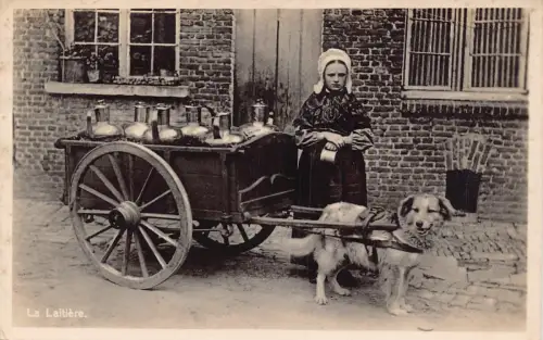 Flämisches Milchmädchen Hund gezogener Wagen Vintage Postkarte