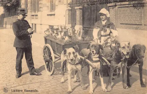 Flämische Milchmädchen Hunde gezogen Wagen Polizist Vintage Postkarte