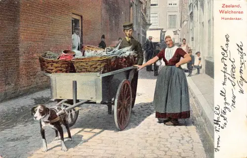 Flämisches Milchmädchen Laitiere Flamande Hund gezogener Wagen Zeeland Vintage Postkarte