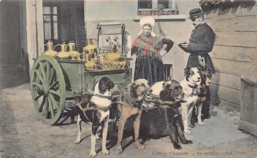 Flämisches Milchmädchen Laitiere Flamande Hunde gezogener Wagen Polizist Vintage Postkarte