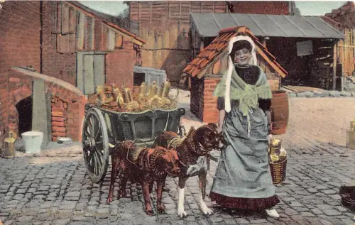Flämisches Milchmädchen Laitiere Flamande Hunde gezogener Wagen Vintage Postkarte