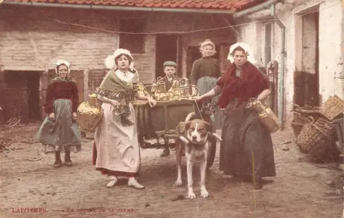 Flämisches Milchmädchen 1905 Laitiere Flamande Hund gezogener Wagen Vintage Postkarte