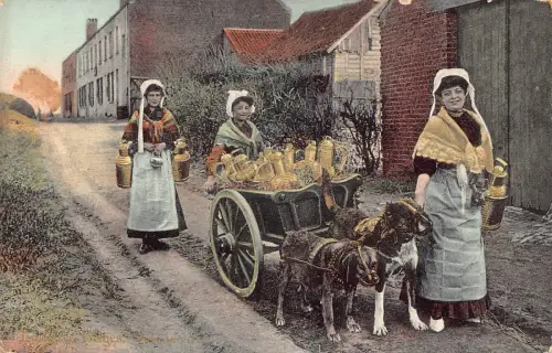 Flämisches Milchmädchen Laitiere Flamande Hunde gezogener Wagen Vintage Postkarte