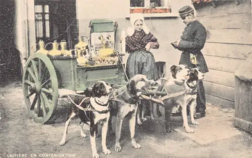 Flämisches Milchmädchen Laitiere Flamande Hunde gezogener Wagen Polizist Vintage Postkarte