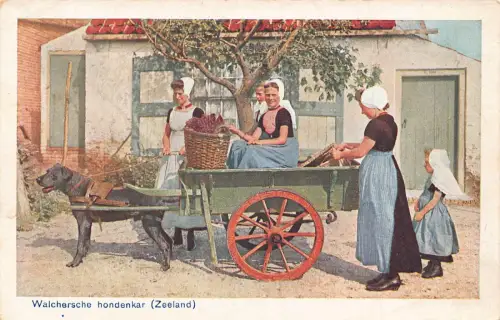 Zeeland Flämische Dienstmädchen Hund gezogen Wagen Vintage Postkarte