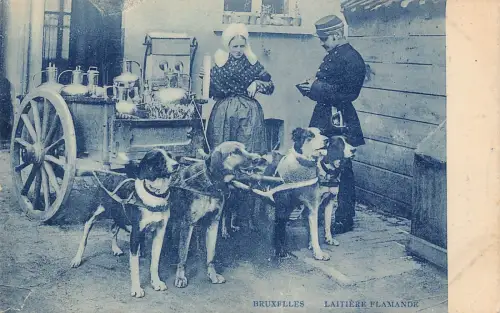 Flämisches Milchmädchen Laitiere Flamande Hunde gezogener Wagen Polizist Vintage Postkarte