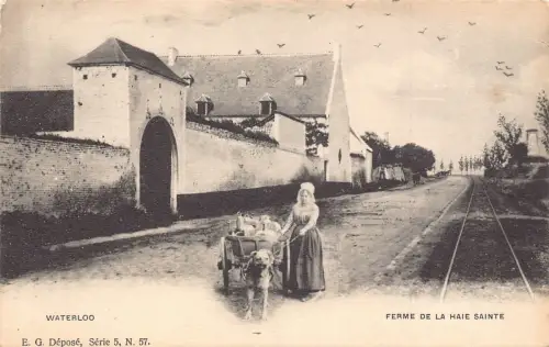 Waterloo flämisches Milchmädchen Haie Sante Bauernhof Hund gezogener Wagen Vintage Postkarte
