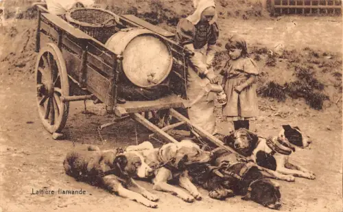 Flämisches Milchmädchen Laitiere Flamande Hunde gezogener Wagen Vintage Postkarte