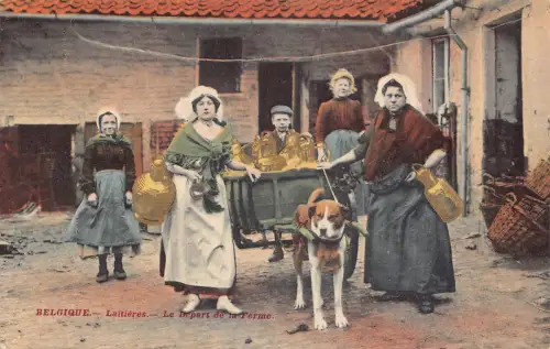 Flämisches Milchmädchen Laitiere Flamande Hund gezogener Wagen Vintage Postkarte