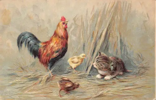 A110 Künstlerkarte 1908 Kätzchen spielt im Heu mit Küken Huhn Prägepostkarte