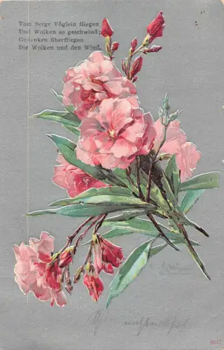 A111 Gruß 1912 Pfingstrosen Blumenstrauß auf silbernem Hintergrund Gedicht geprägte Postkarte