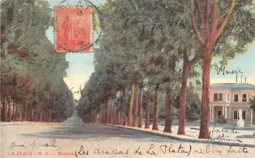 L358 Argentinien La Plata R.A. Bosque Bäume Bänke Vintage Postkarte
