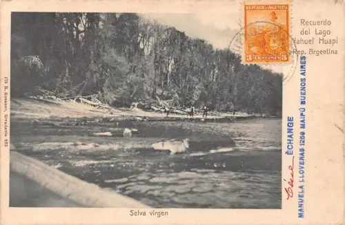 L358 Argentinien 1904 Recuerdo del Lago Nahuel Huapi Wolkenstein Virgensee Postkarte