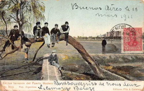 L357 Argentinien Buenos Aires los Terrenos del Puerto Madero Jungen im Baum Postkarte