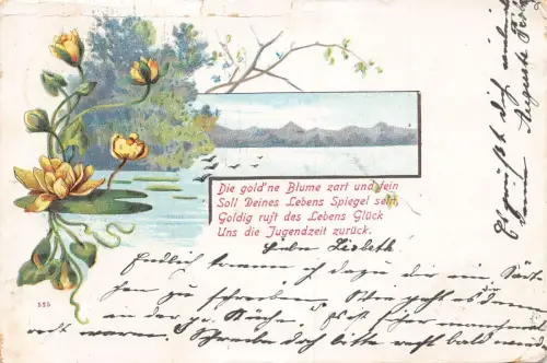 L352 Gruß 1903 Lotus Blätter Seerose See Gedicht Litho Berge Postkarte