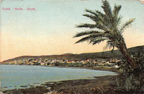 Israel Caifa Haifa General View Vintage Postkarte