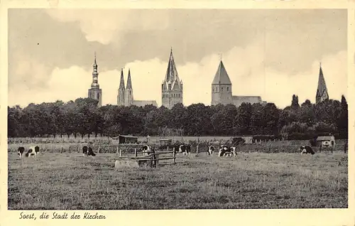 A118 Deutschland Soest die Stadt der Kirchen Kirche Kühe Vintage Postkarte