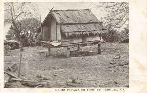 L523 Neuseeland Maori Pataka oder Lebensmittellager Vintage Postkarte