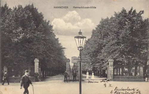 A120 Deutschland 1913 Hannover Herrenhaeuser Allee Bäume Wächter Lampenmast Postkarte