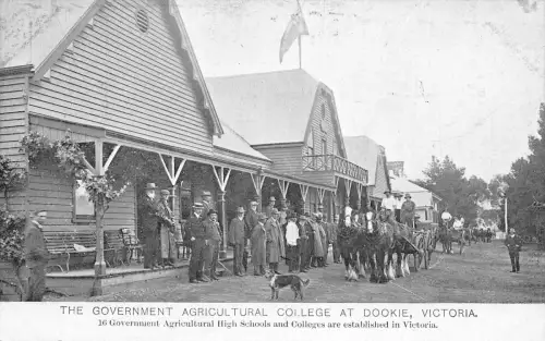 L523 Australien Victoria Dookie Agricultural College Vintage Postkarte
