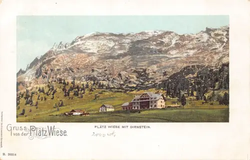 A120 Italien Gruss von der Plaetz Wiese mit Dirnstein Berg Vintage Postkarte