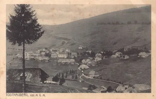 A123 Deutschland Todtnauberg Gesamtansicht 1021m Vintage Postkarte