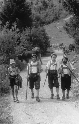 A126 Echt Foto Rinder Oberstdorf Tradition Männer Tracht Postkarte