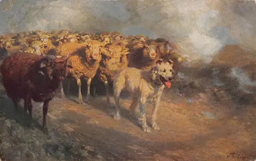 Leipziger Museum Schafherde Schäferhund Kunst Vintage Postkarte
