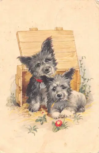 Gezeichnete süße Hunde Cairn Terrier Rasse Halsband Box Blumen Vintage Postkarte