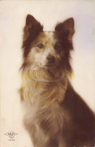 Hundehaus Shetland Schäferhund - Collie Kreuzung Vintage Postkarte