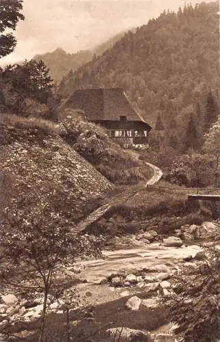L217 Deutschland Schwarzwald Motiv bei Niederwasser Triberg Vintage Postkarte