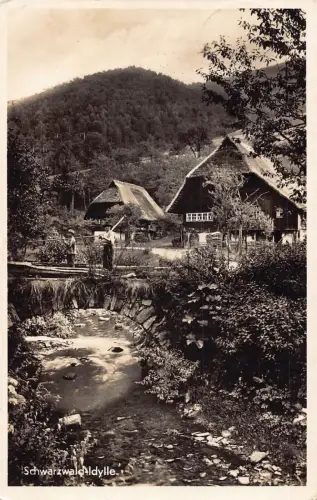 L217 Deutschland Schwarzwald Idylle Häuser RPPC Vintage Postkarte